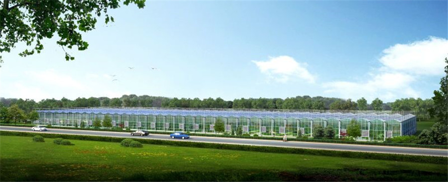 箬橫農(nóng)業(yè)大棚