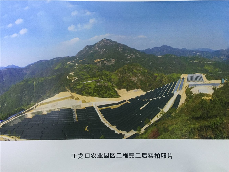 王龍口農(nóng)業(yè)園區(qū)工程